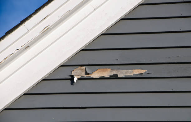 Best Same-Day Junk Removal Services  in Morgantown, PA
